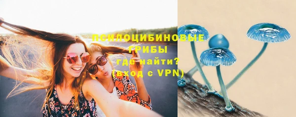 каннабис Белокуриха