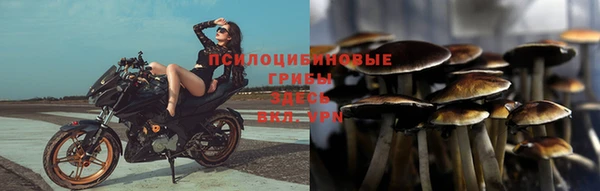 каннабис Белокуриха