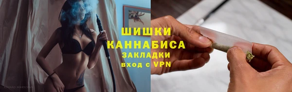сатива Белоозёрский